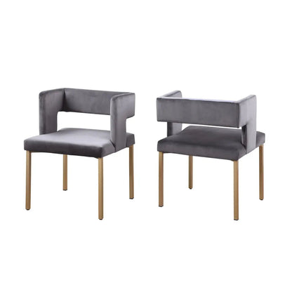 Ensemble de chaises de salle à manger Anthony en gris